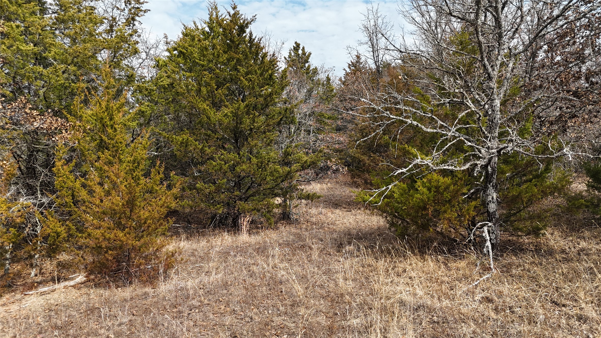 Tbd County Road 106 Whitesboro TX 76273