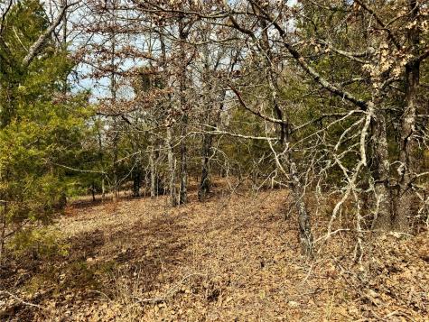 Tbd County Road 106 Whitesboro TX 76273