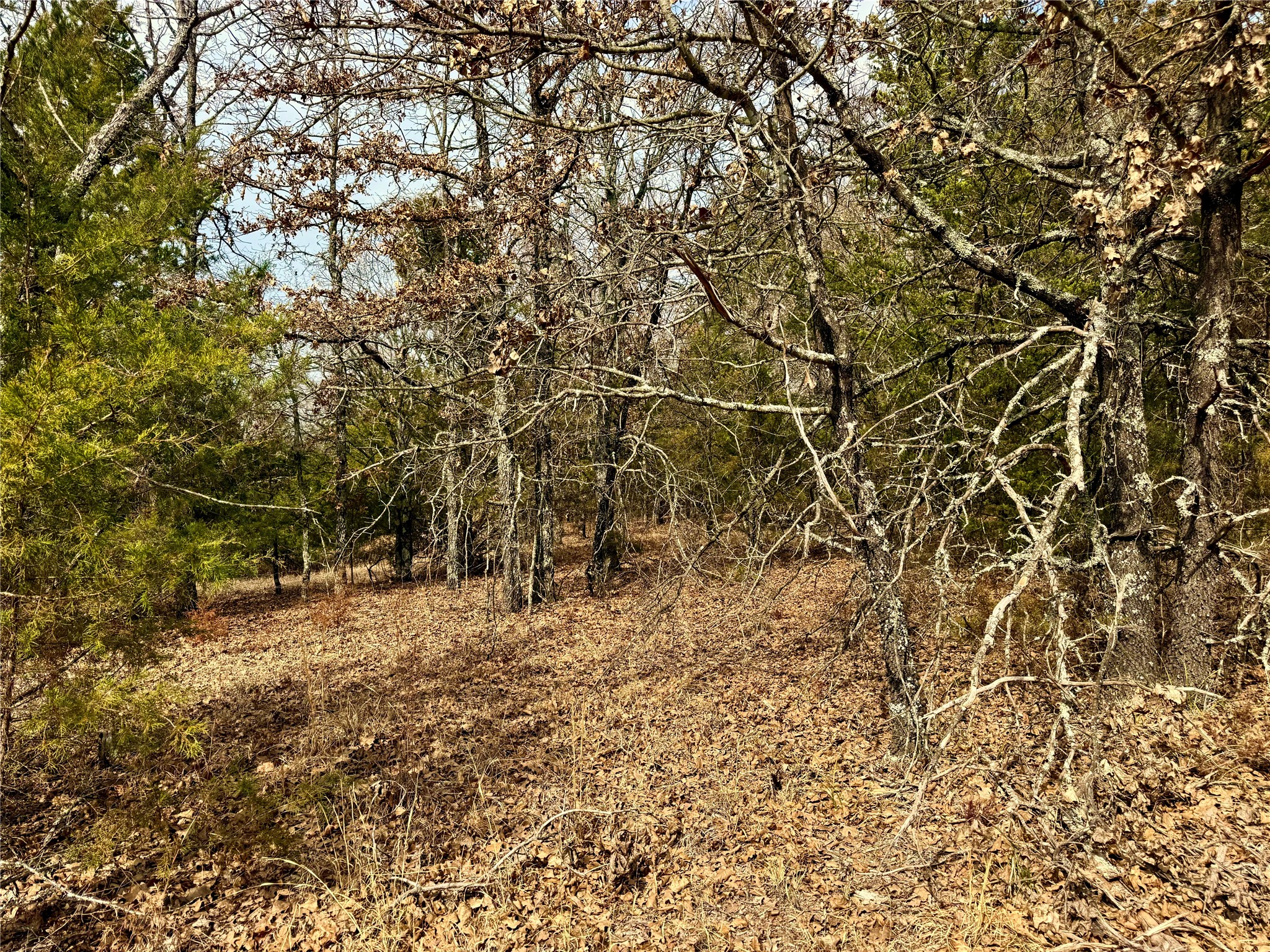 Tbd County Road 106 Whitesboro TX 76273