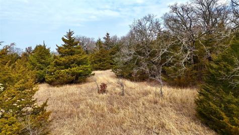 Tbd County Road 106 Whitesboro TX 76273