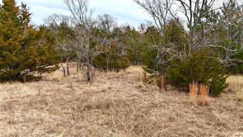 Tbd County Road 106 Whitesboro TX 76273