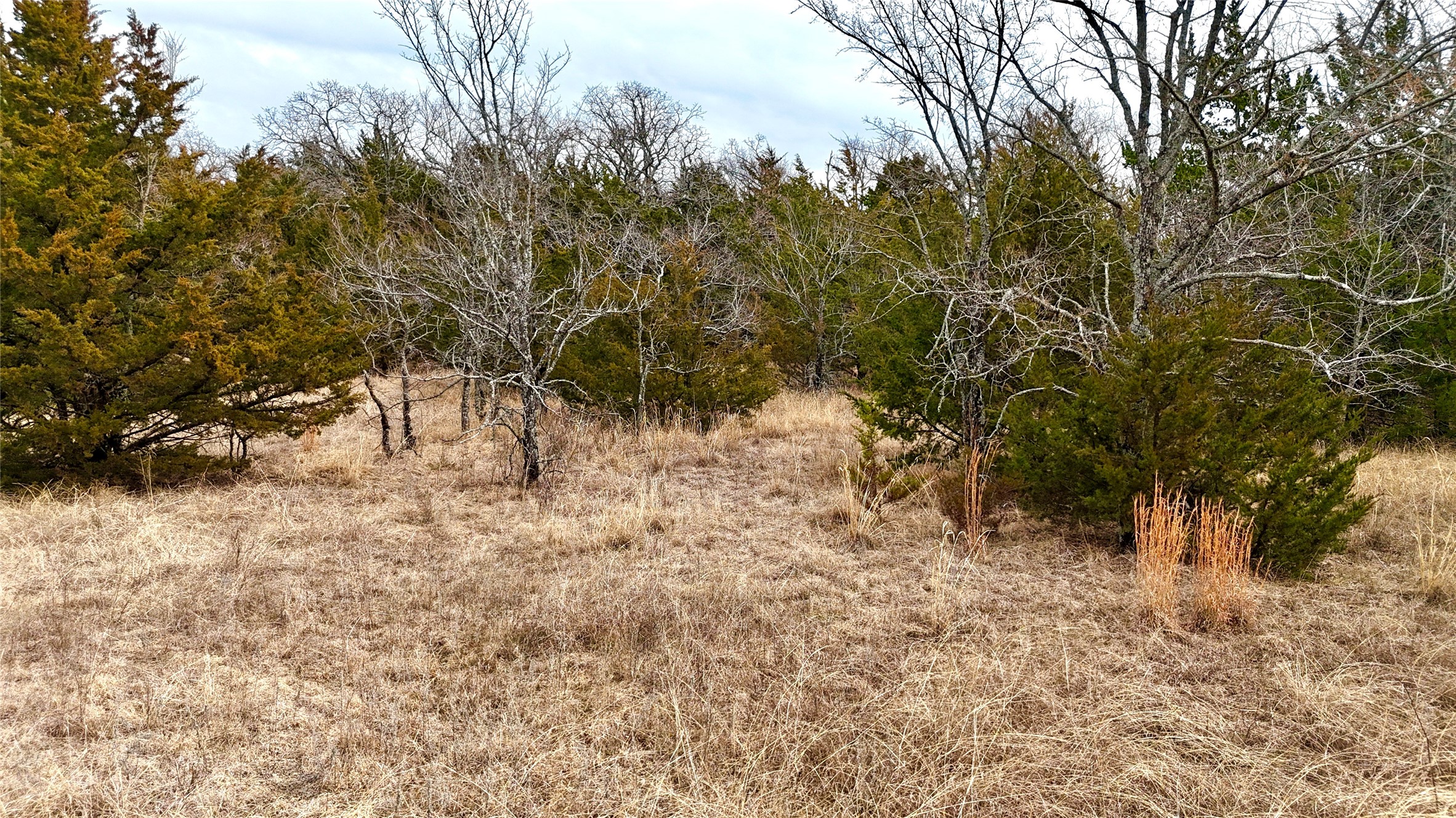 Tbd County Road 106 Whitesboro TX 76273