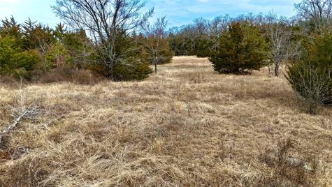 Tbd County Road 106 Whitesboro TX 76273