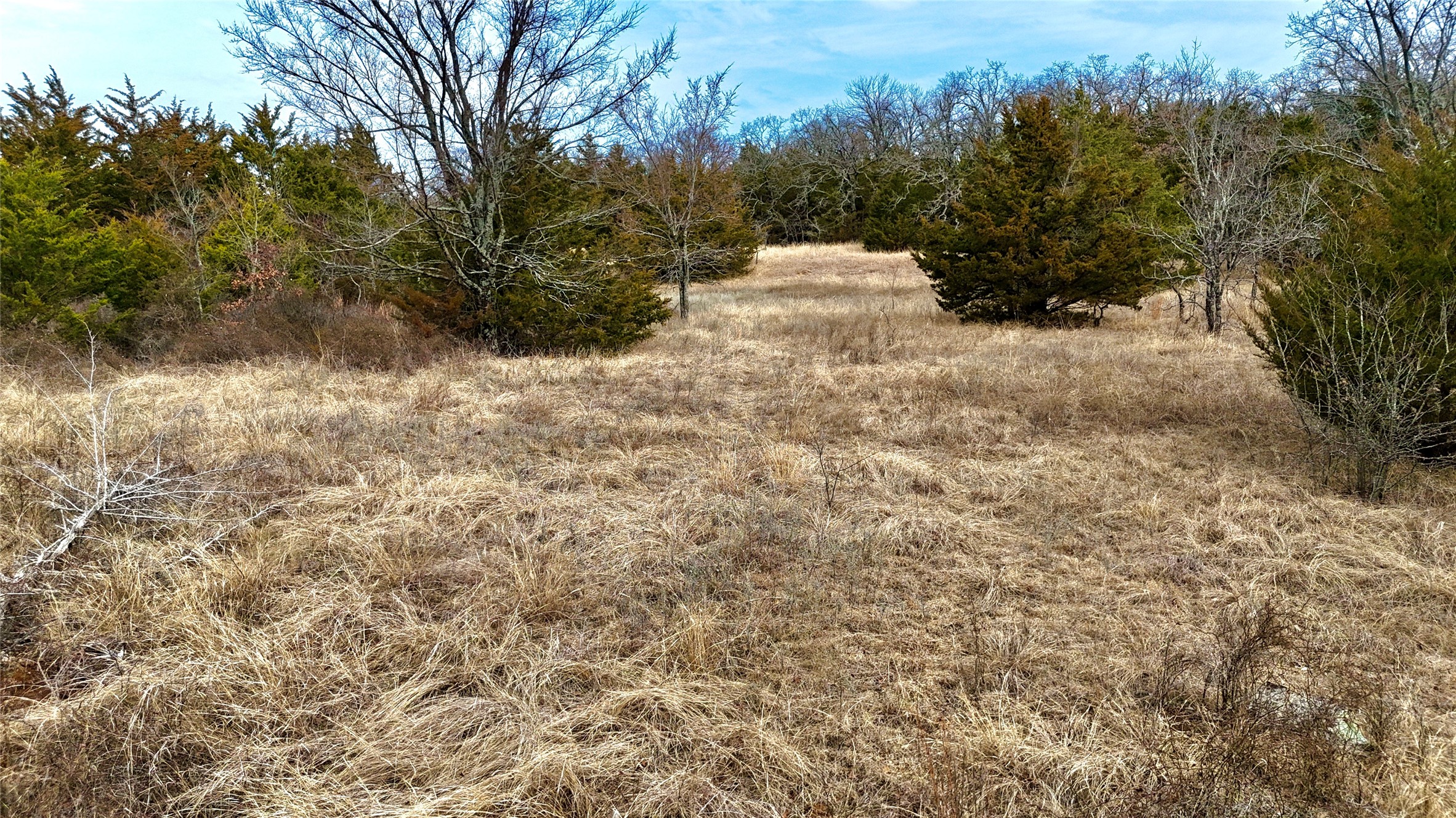 Tbd County Road 106 Whitesboro TX 76273