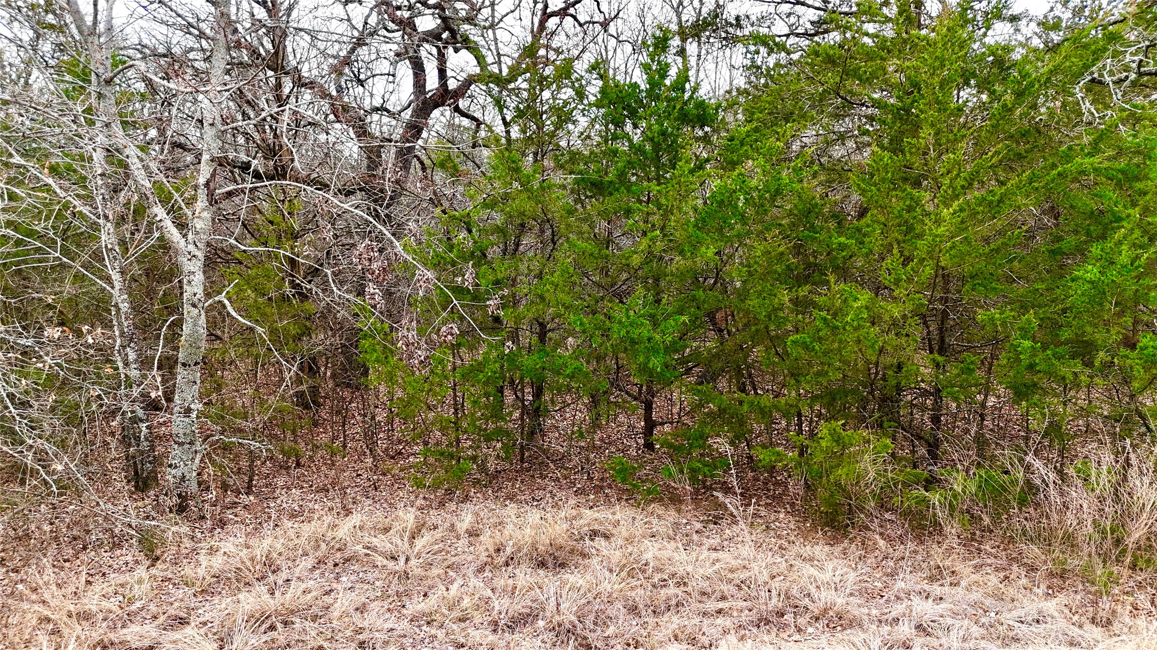 Tbd County Road 106 Whitesboro TX 76273