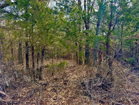 Tbd County Road 106 Whitesboro TX 76273
