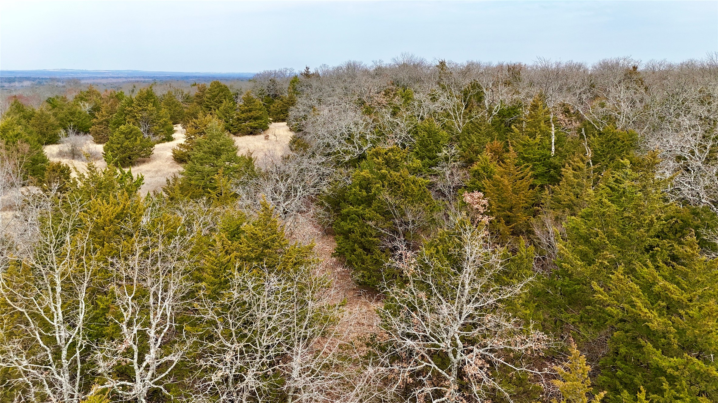 Tbd County Road 106 Whitesboro TX 76273