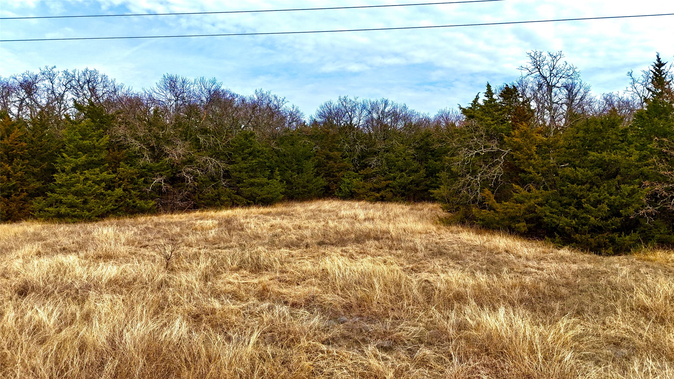 Tbd County Road 106 Whitesboro TX 76273