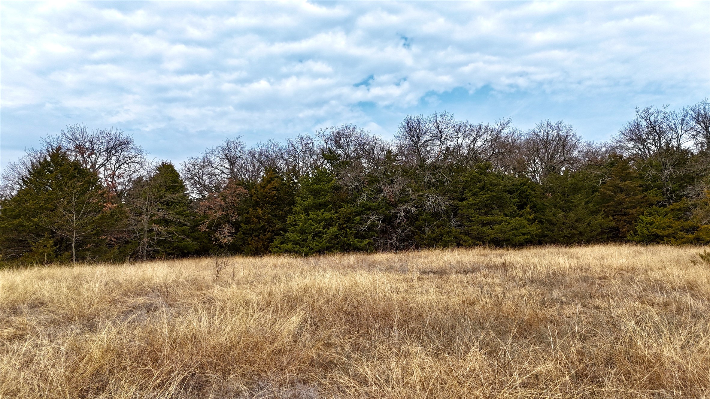 Tbd County Road 106 Whitesboro TX 76273