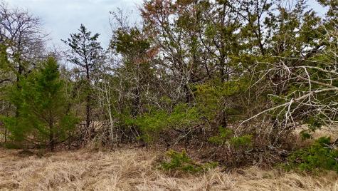 Tbd County Road 106 Whitesboro TX 76273