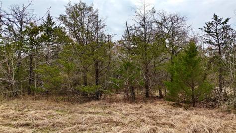 Tbd County Road 106 Whitesboro TX 76273