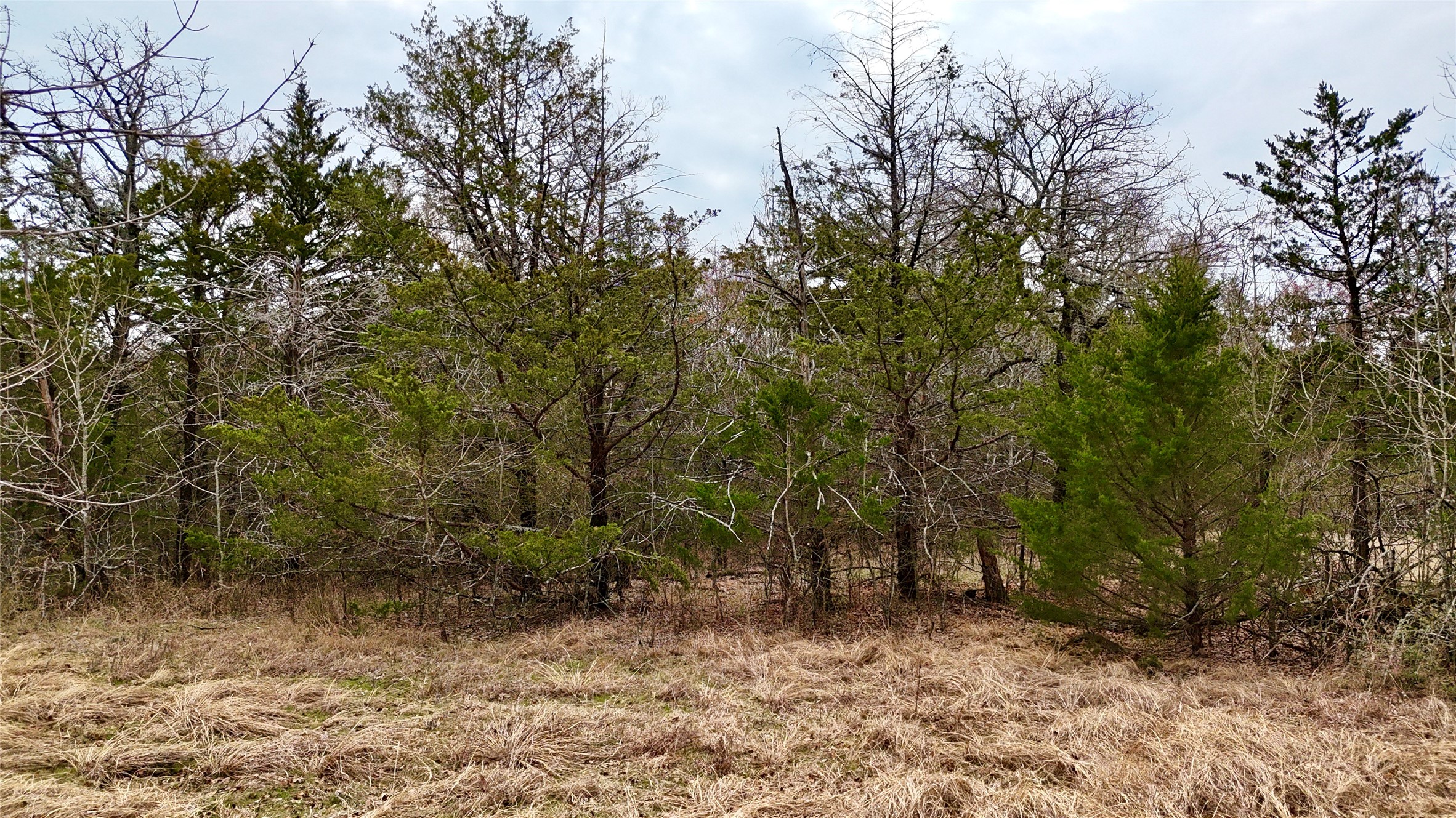 Tbd County Road 106 Whitesboro TX 76273