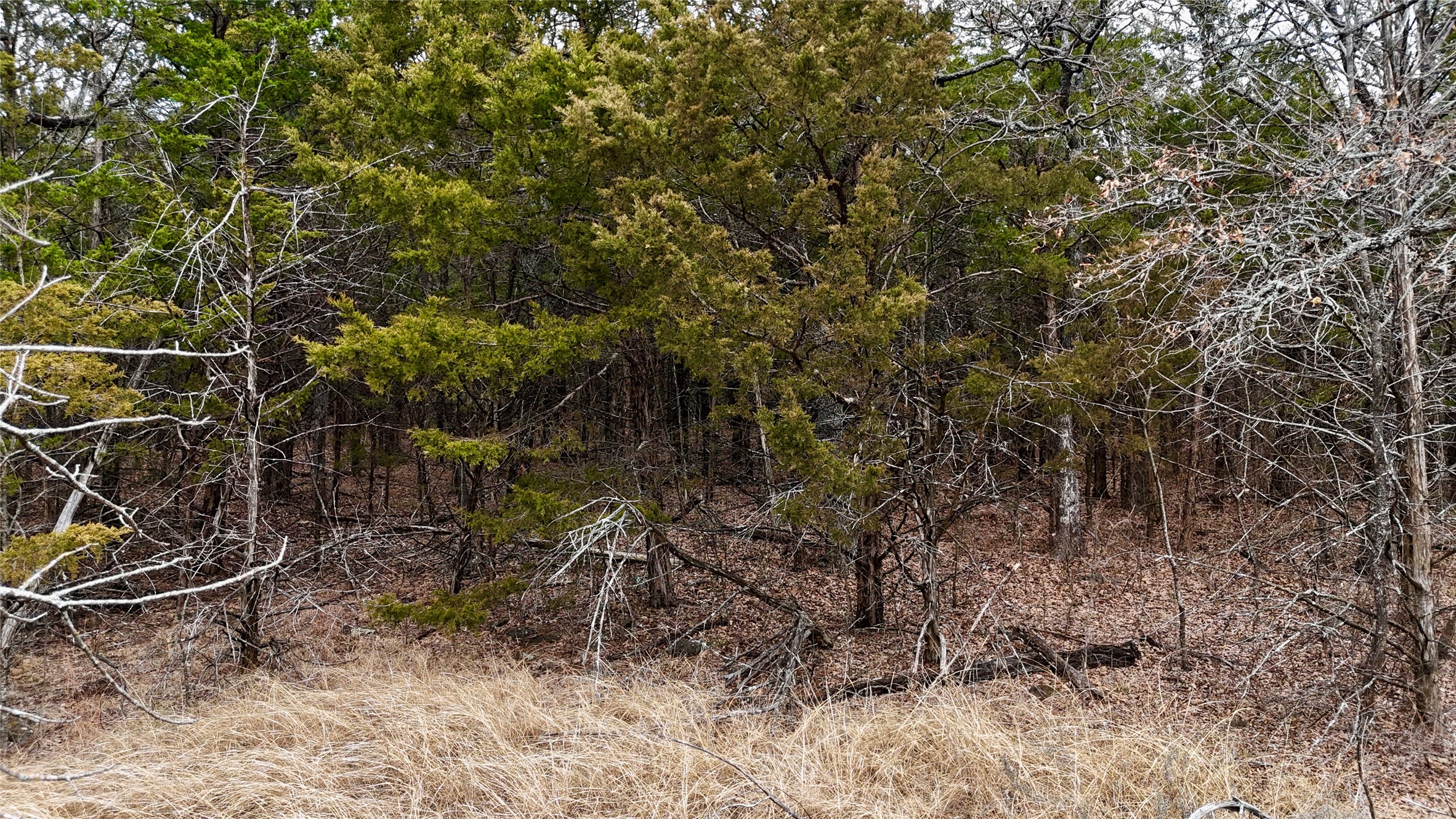 Tbd County Road 106 Whitesboro TX 76273