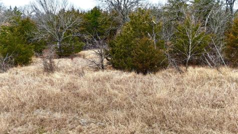Tbd County Road 106 Whitesboro TX 76273