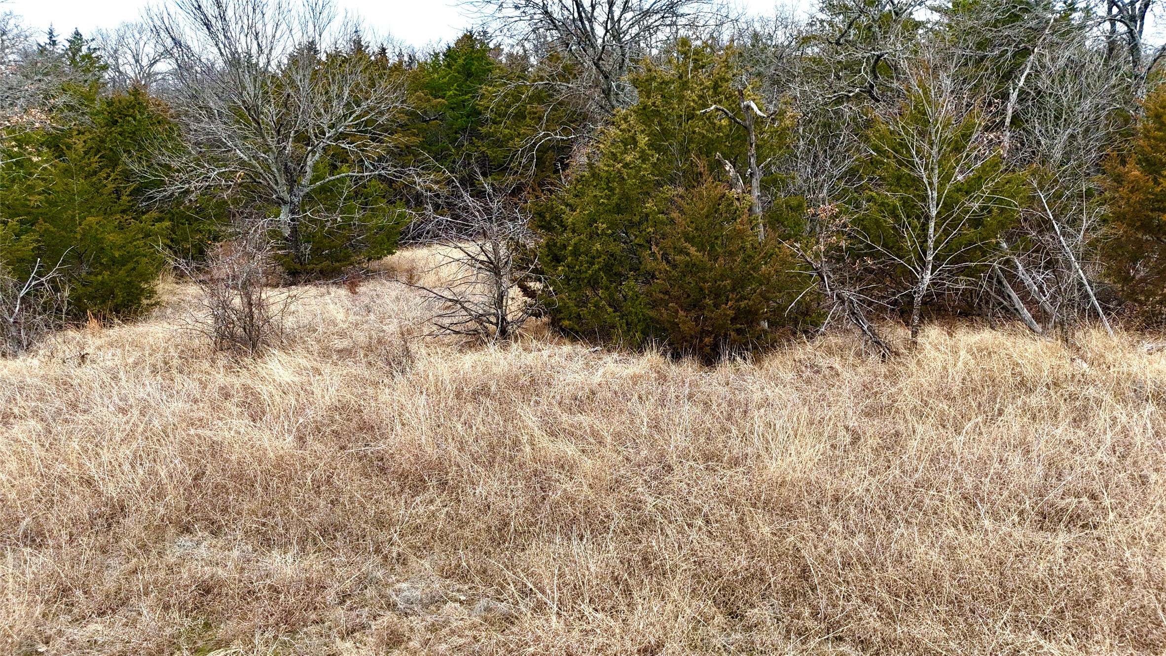 Tbd County Road 106 Whitesboro TX 76273