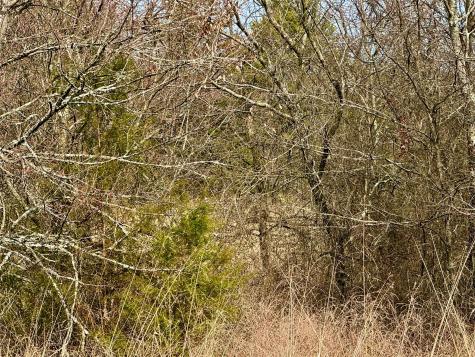 Tbd County Road 106 Whitesboro TX 76273