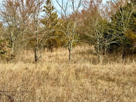 Tbd County Road 106 Whitesboro TX 76273