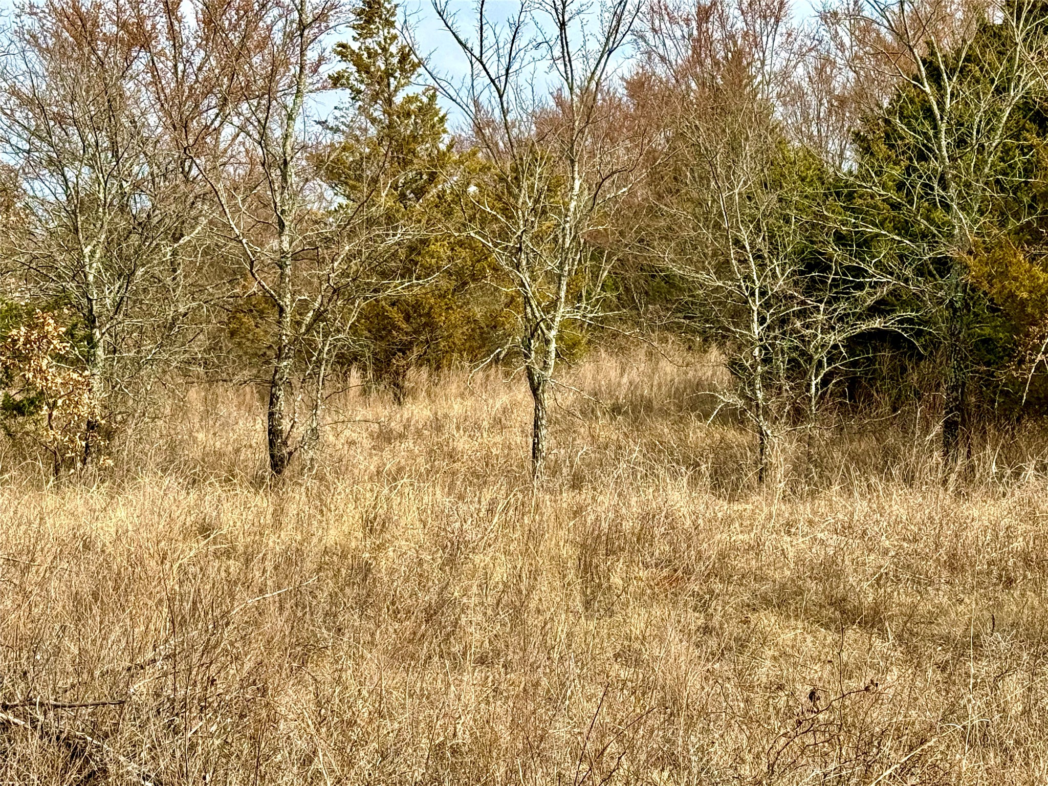 Tbd County Road 106 Whitesboro TX 76273