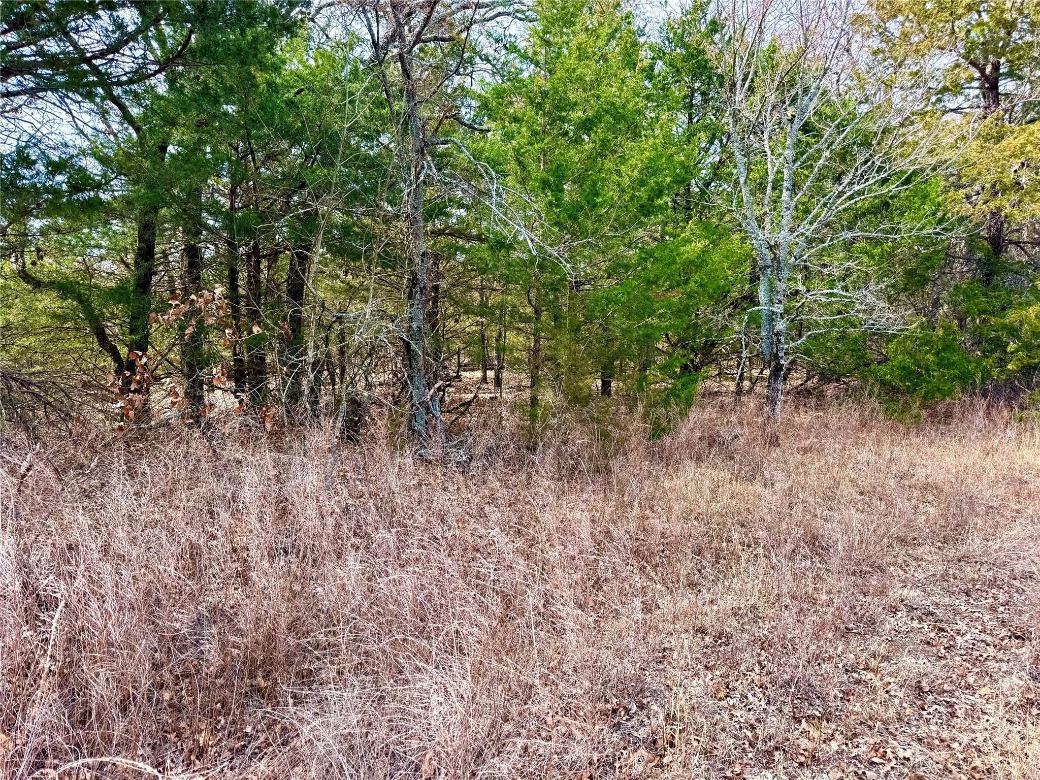Tbd County Road 106 Whitesboro TX 76273