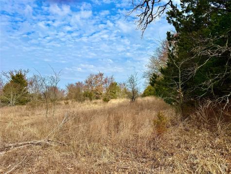 Tbd County Road 106 Whitesboro TX 76273