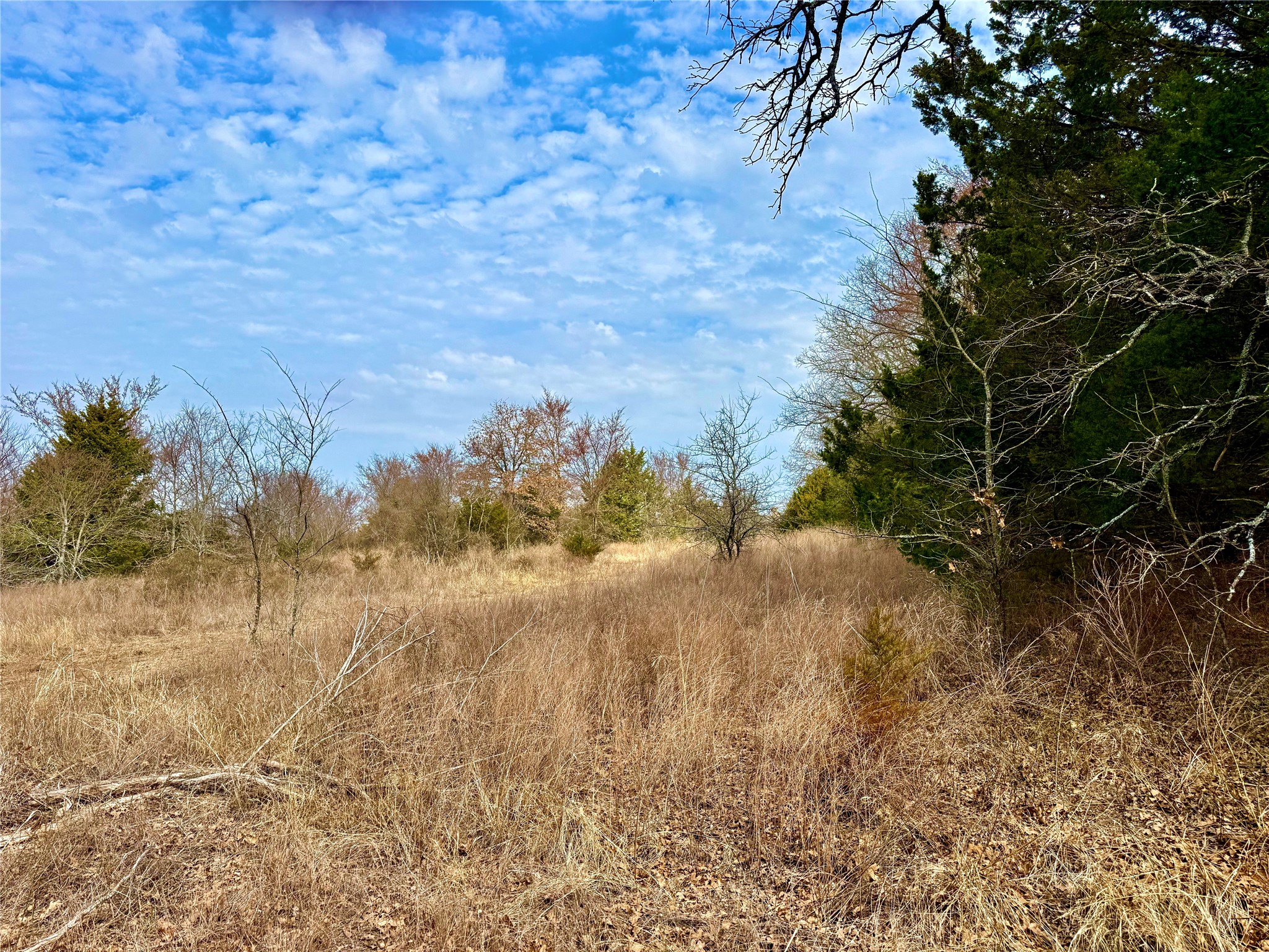 Tbd County Road 106 Whitesboro TX 76273