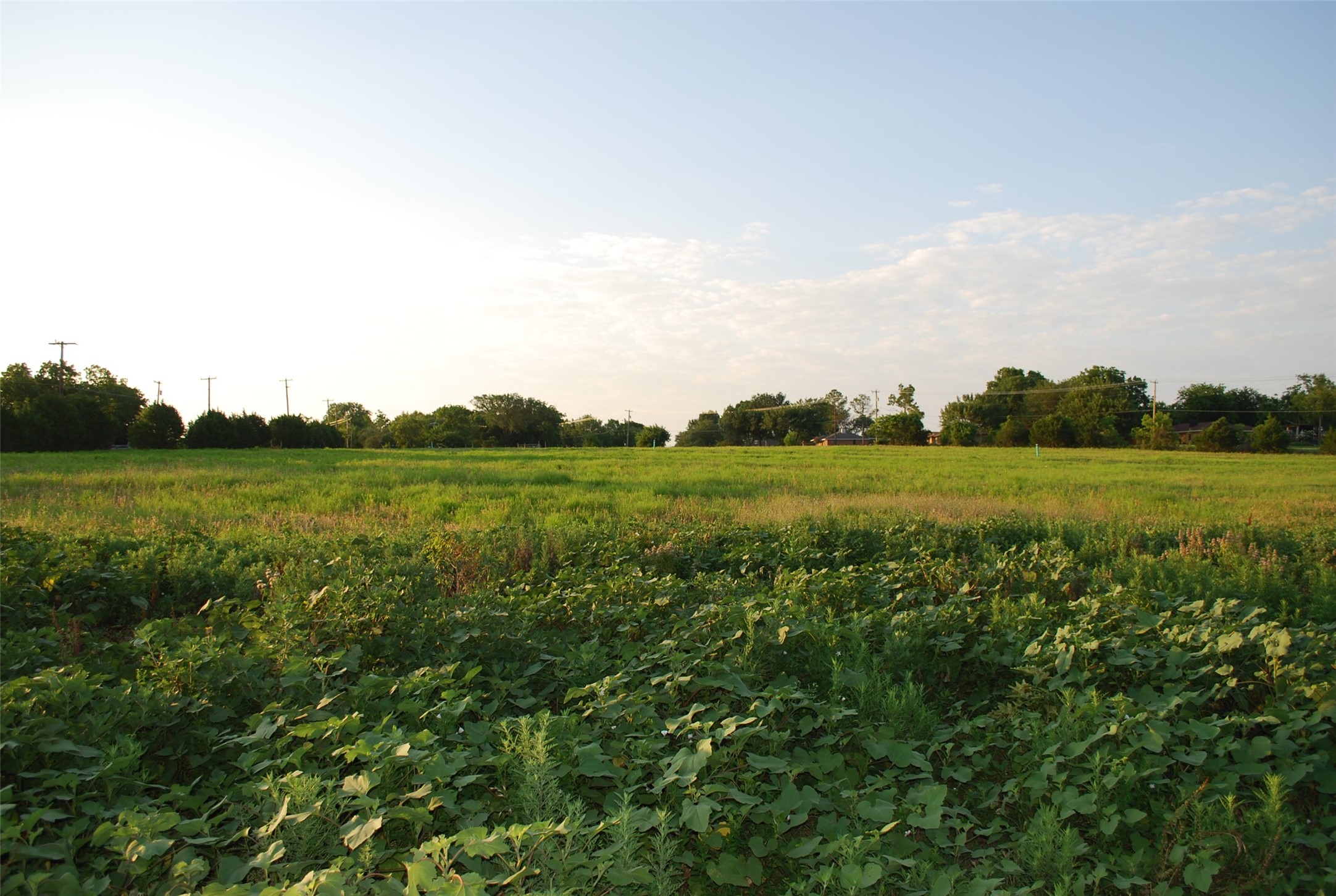 329 Smirl Lane Heath TX 75032