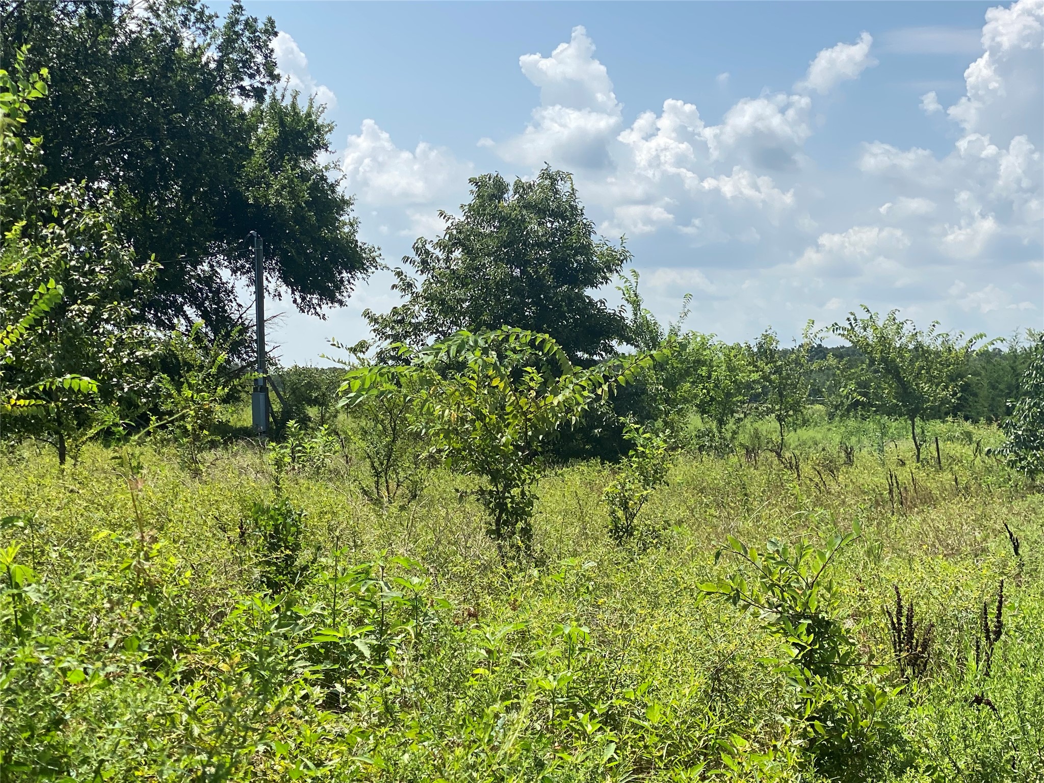 921 County Road 2285 Telephone TX 75488
