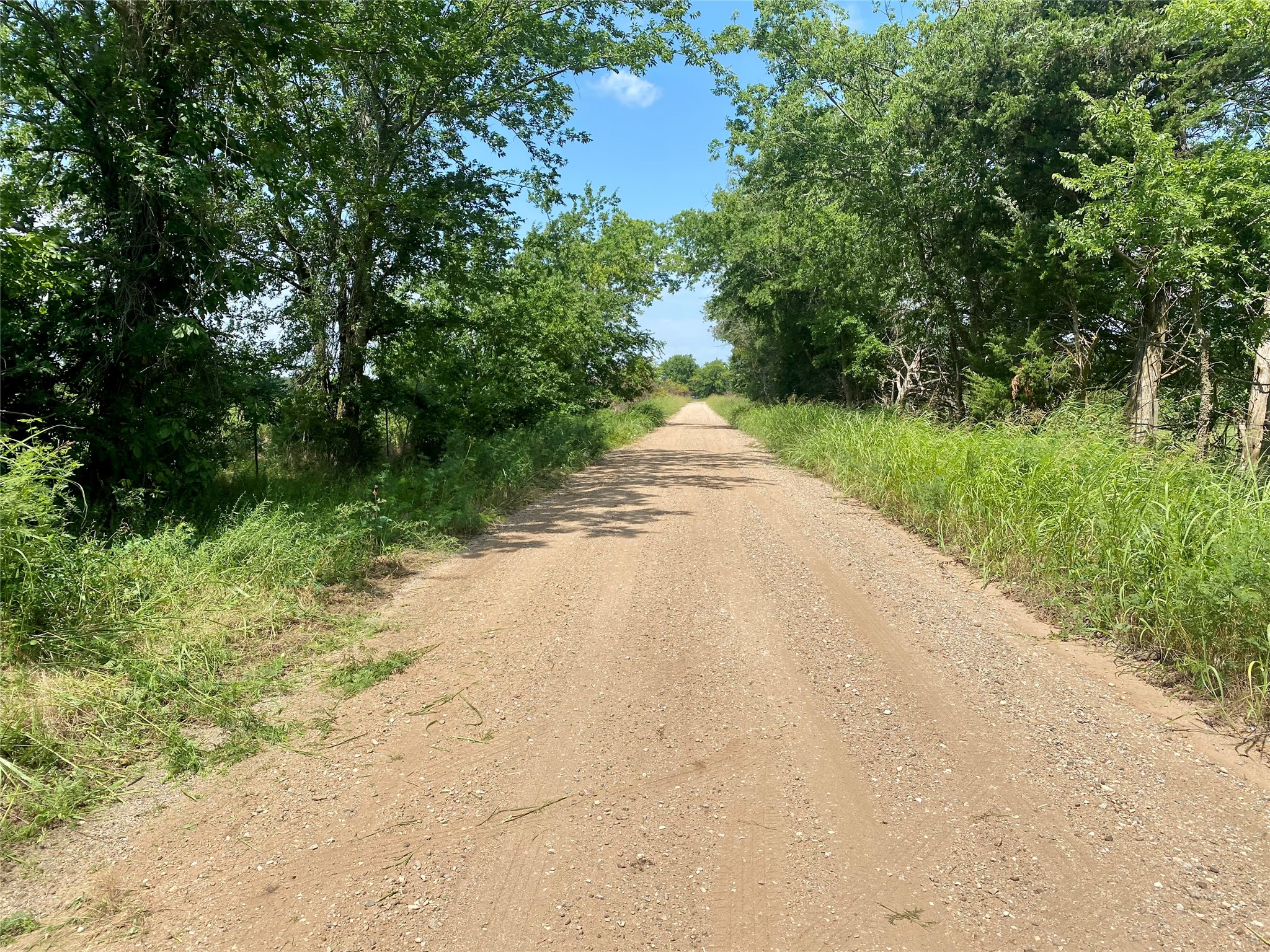 921 County Road 2285 Telephone TX 75488