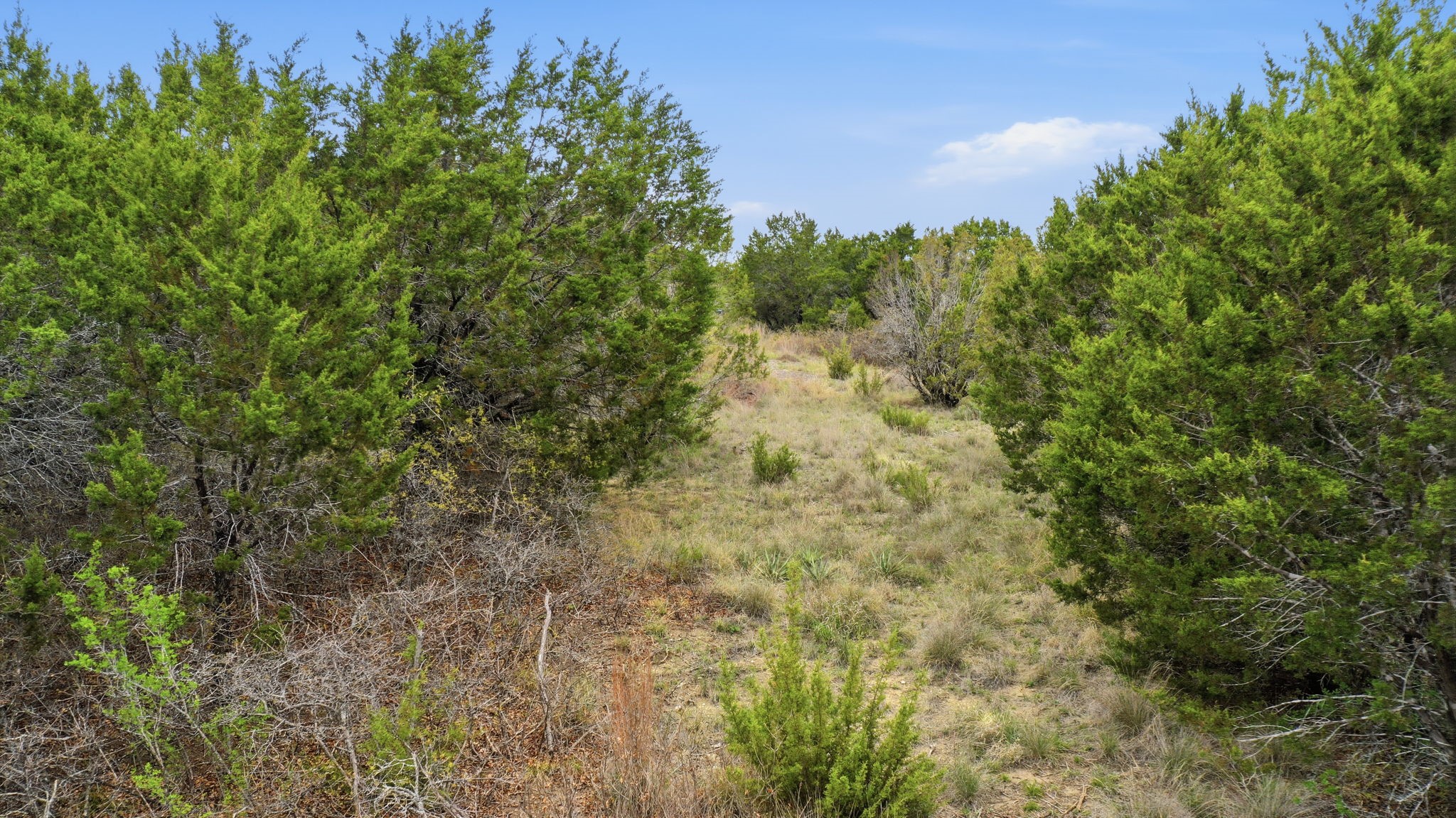 TR956 Majestic Shores Bluff Dale TX 76433