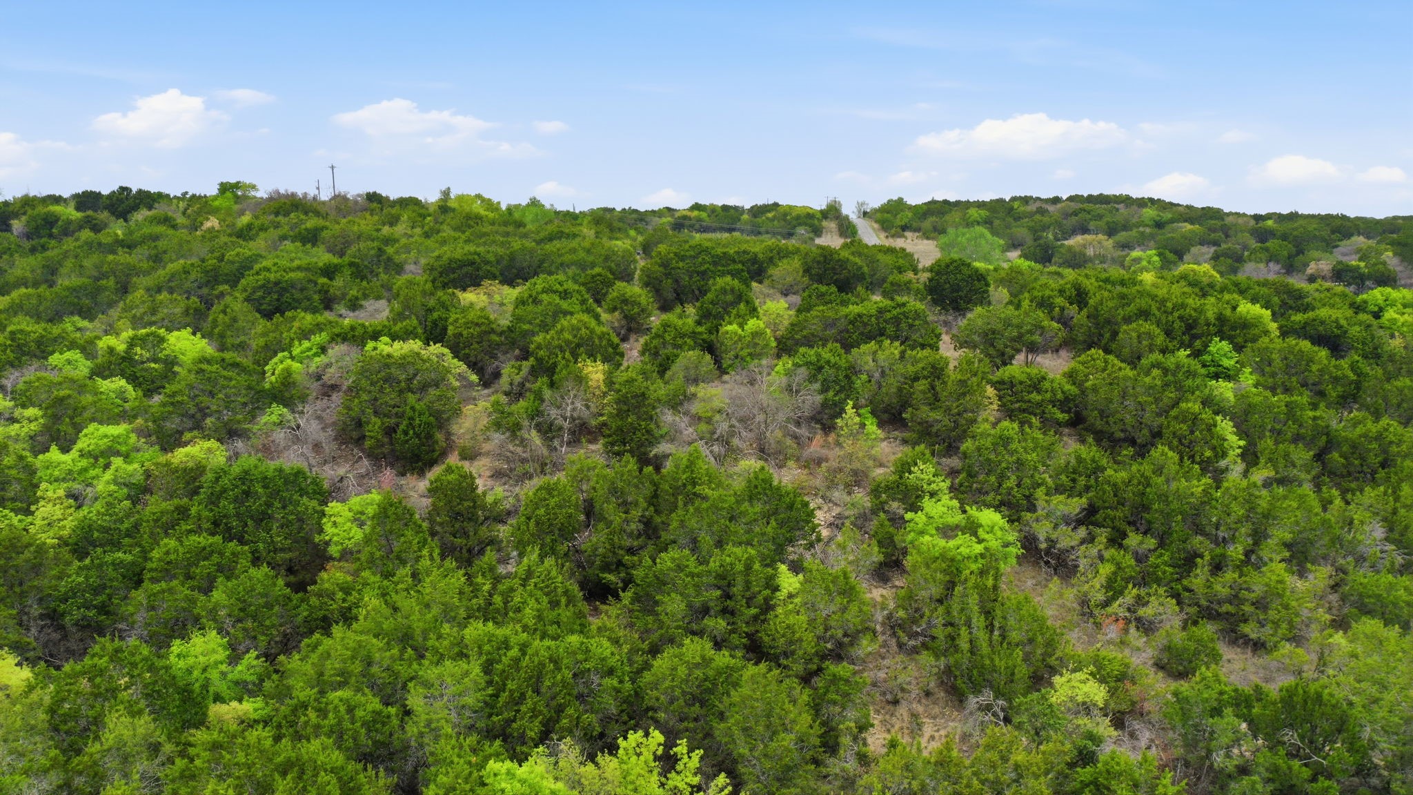 TR956 Majestic Shores Bluff Dale TX 76433