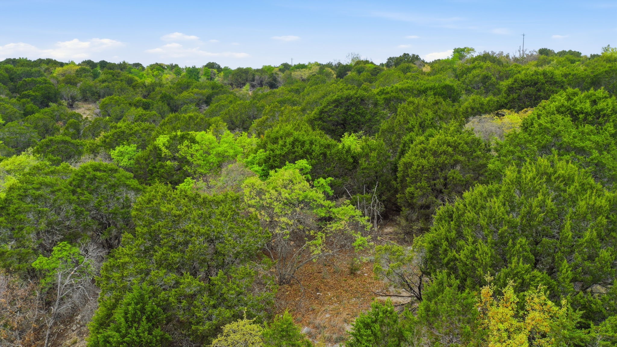 TR956 Majestic Shores Bluff Dale TX 76433