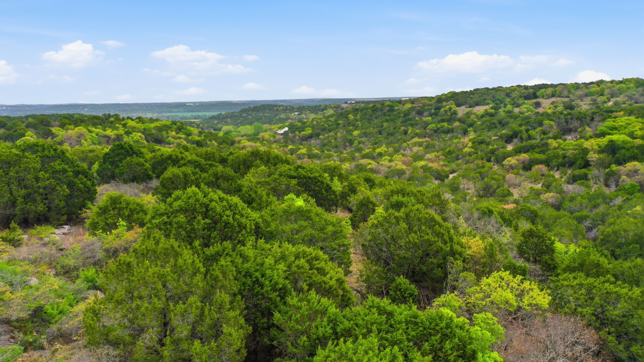 TR956 Majestic Shores Bluff Dale TX 76433