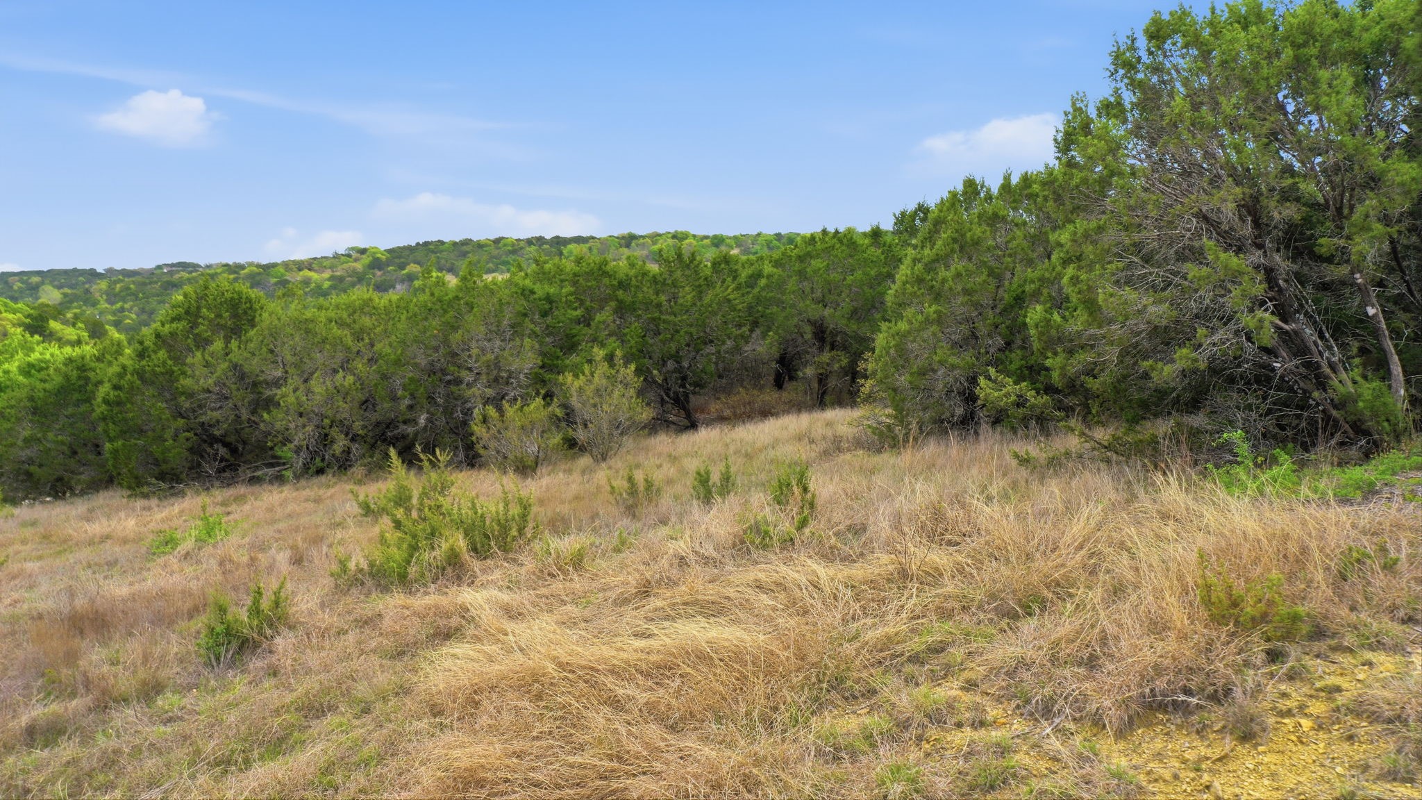 TR956 Majestic Shores Bluff Dale TX 76433