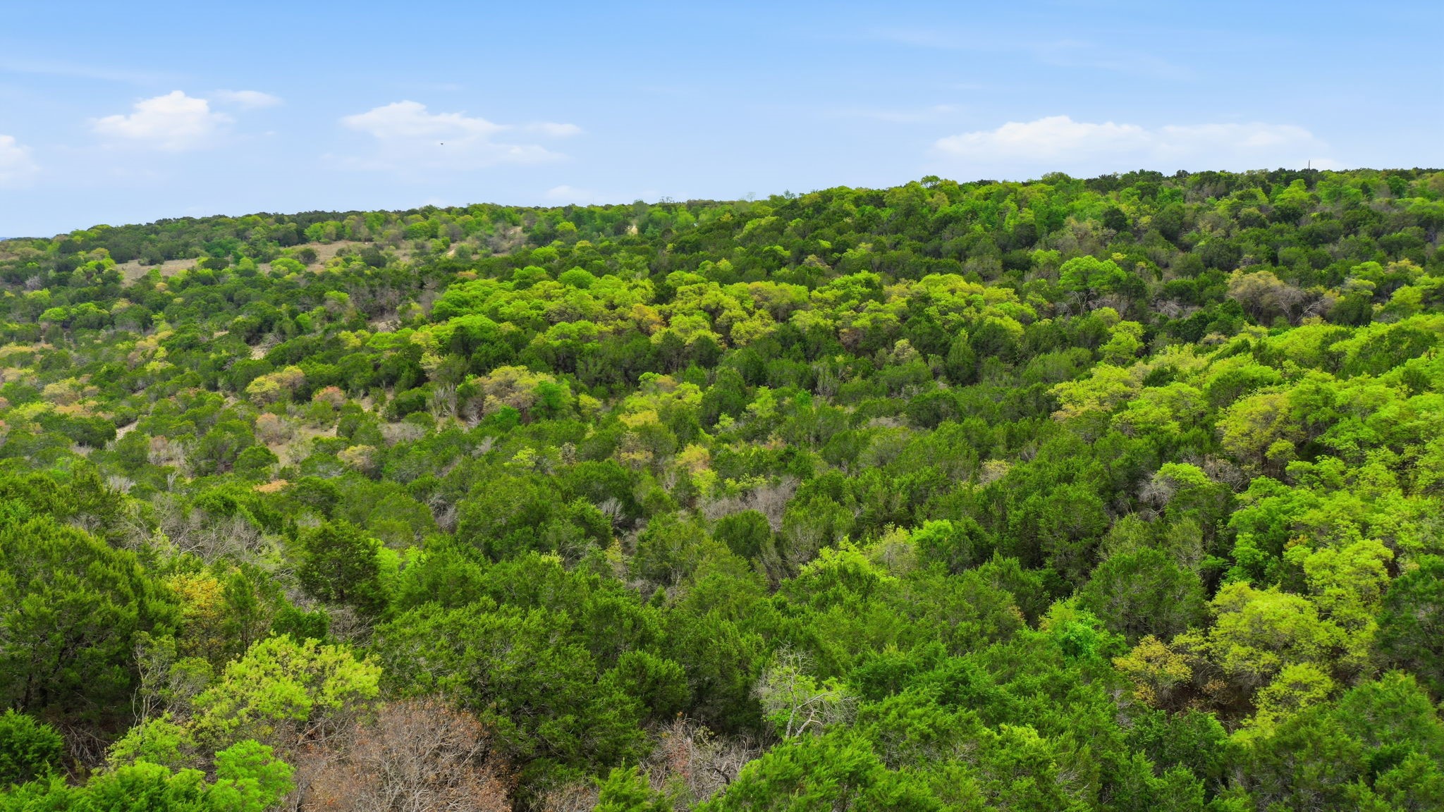 TR956 Majestic Shores Bluff Dale TX 76433