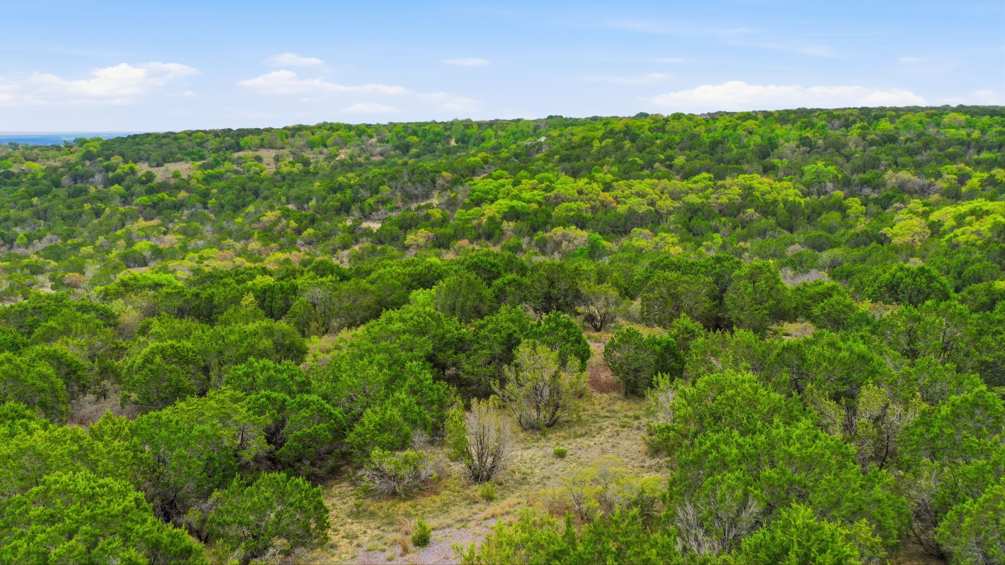 TR956 Majestic Shores Bluff Dale TX 76433