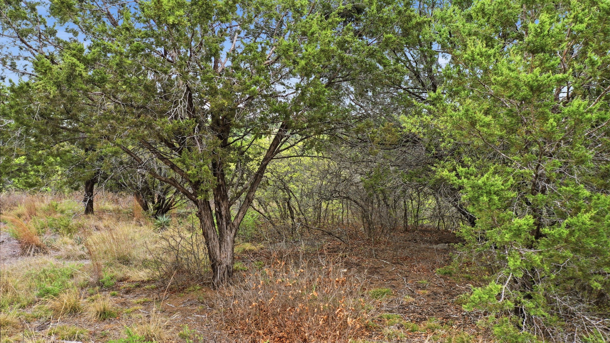 TR956 Majestic Shores Bluff Dale TX 76433