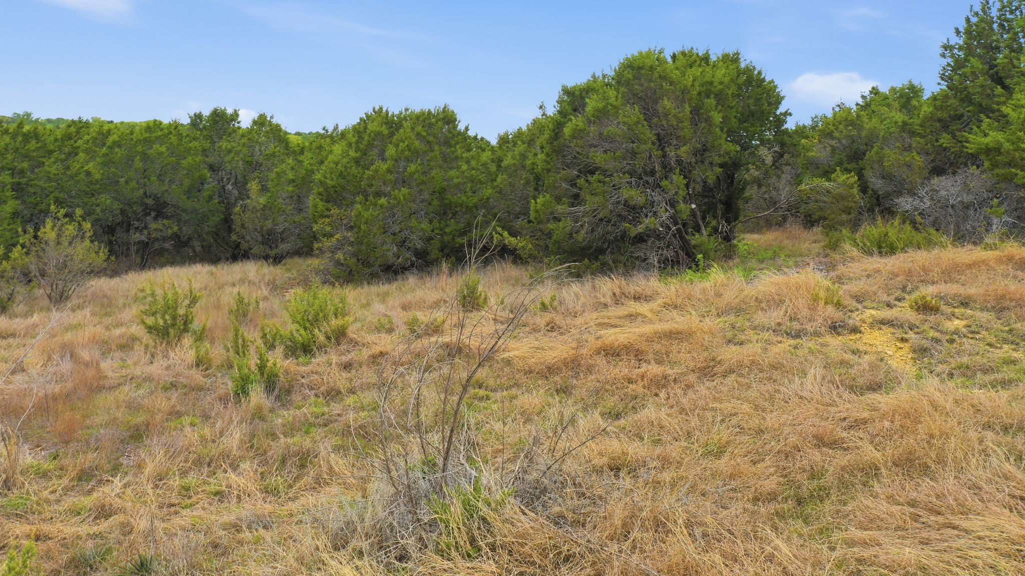 TR956 Majestic Shores Bluff Dale TX 76433
