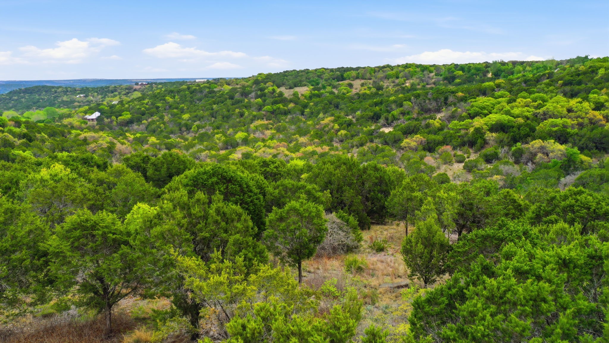TR956 Majestic Shores Bluff Dale TX 76433