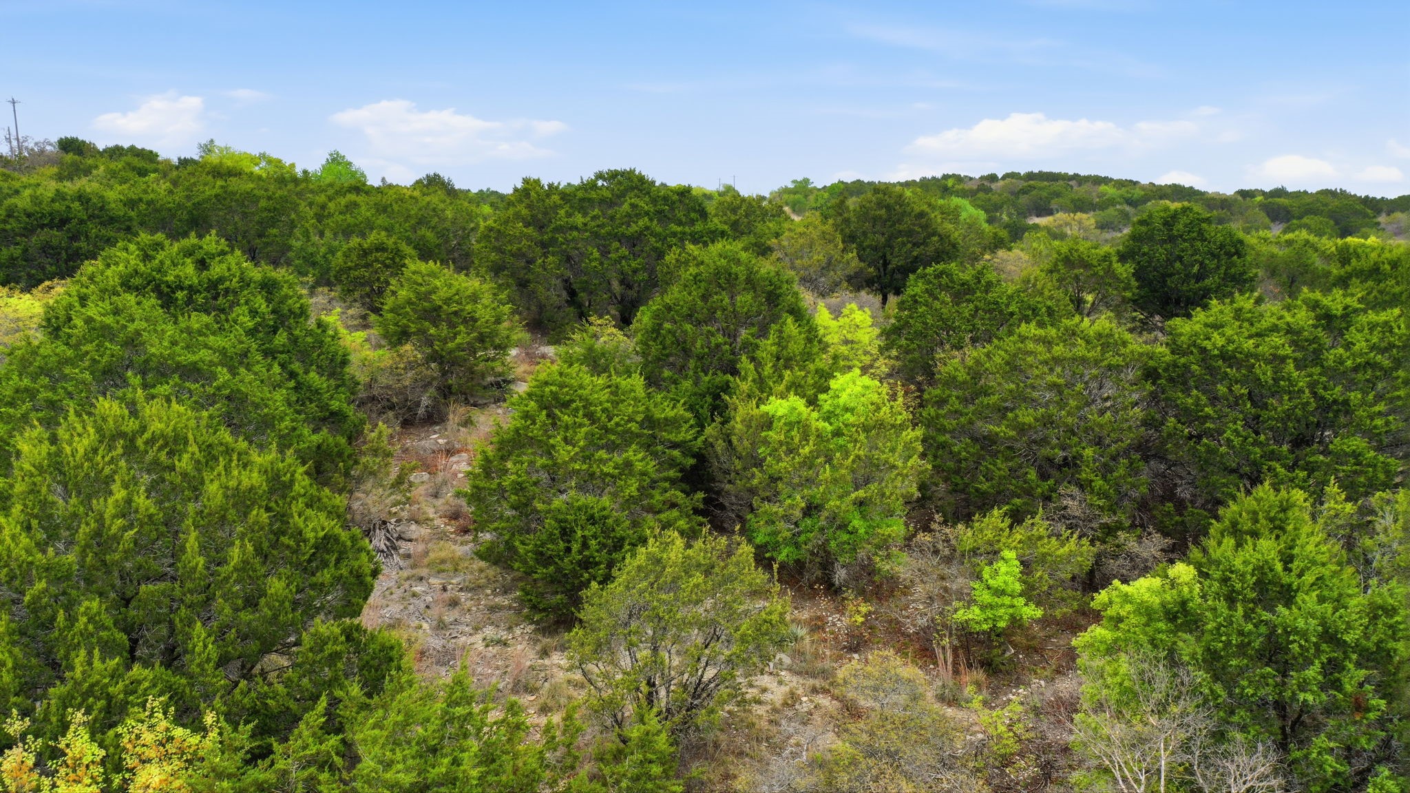 TR956 Majestic Shores Bluff Dale TX 76433