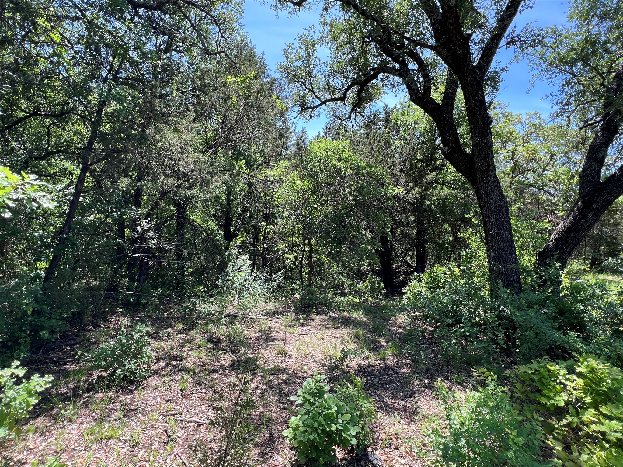 Tbd Lake Creek Road Gordon TX 76453