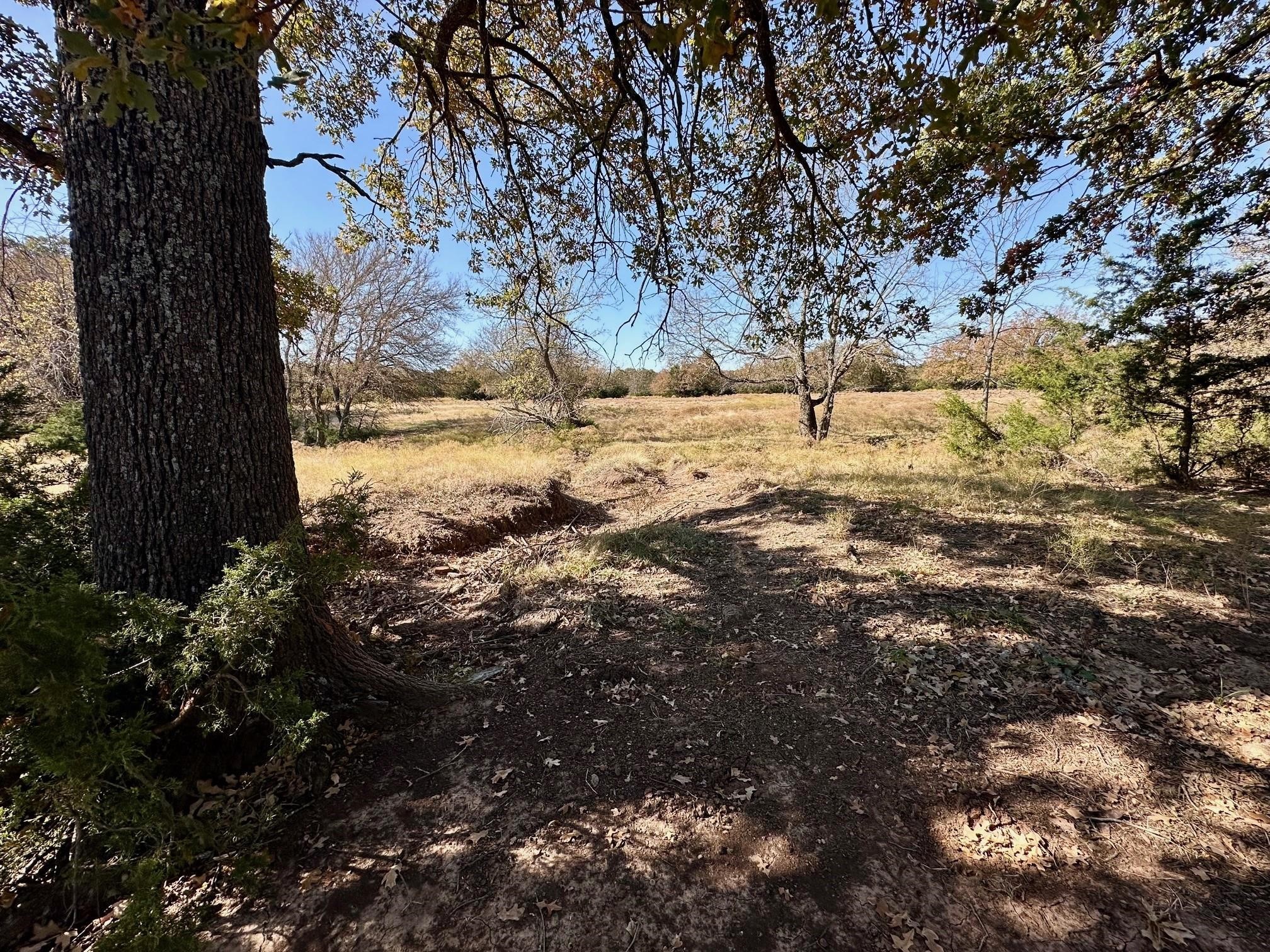 Tbd Pink Hill/state 56 E Highway Bells TX 75414