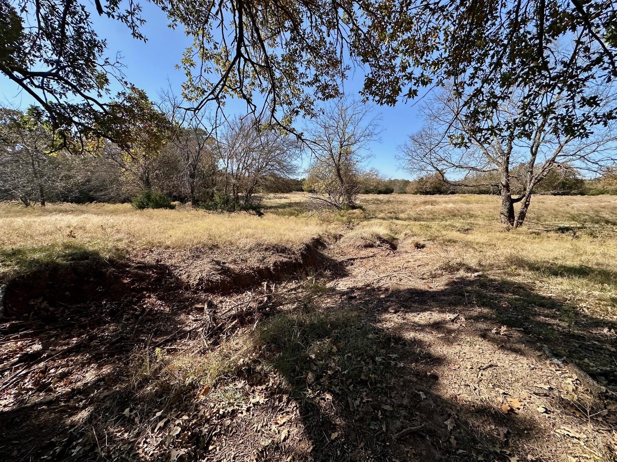 Tbd Pink Hill/state 56 E Highway Bells TX 75414