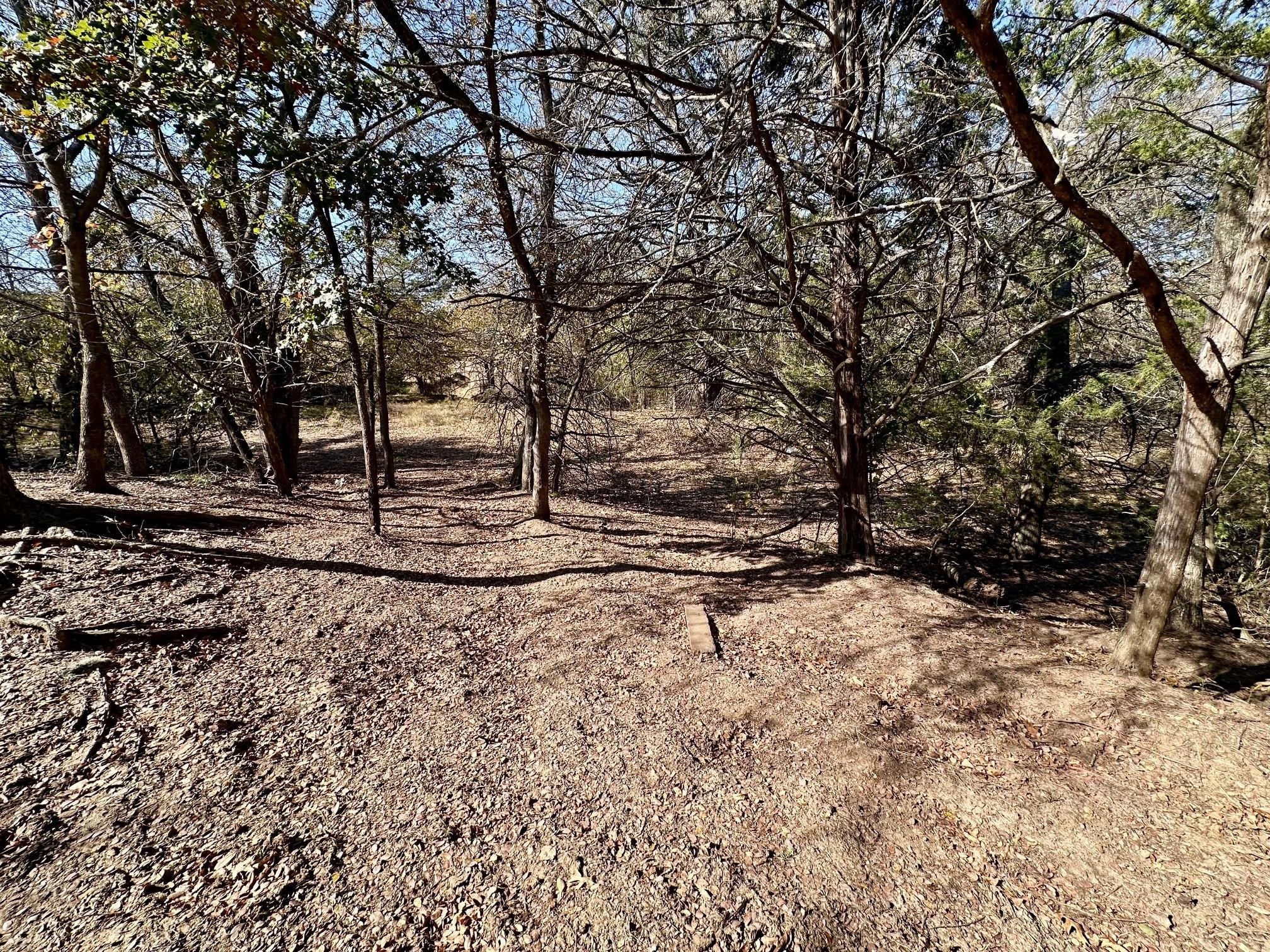 Tbd Pink Hill/state 56 E Highway Bells TX 75414