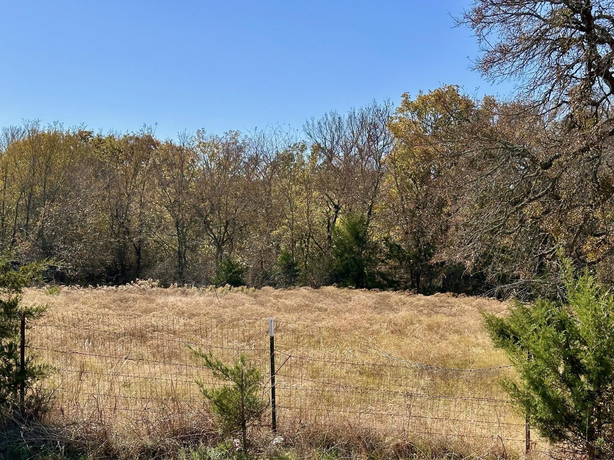 Tbd Pink Hill/state 56 E Highway Bells TX 75414
