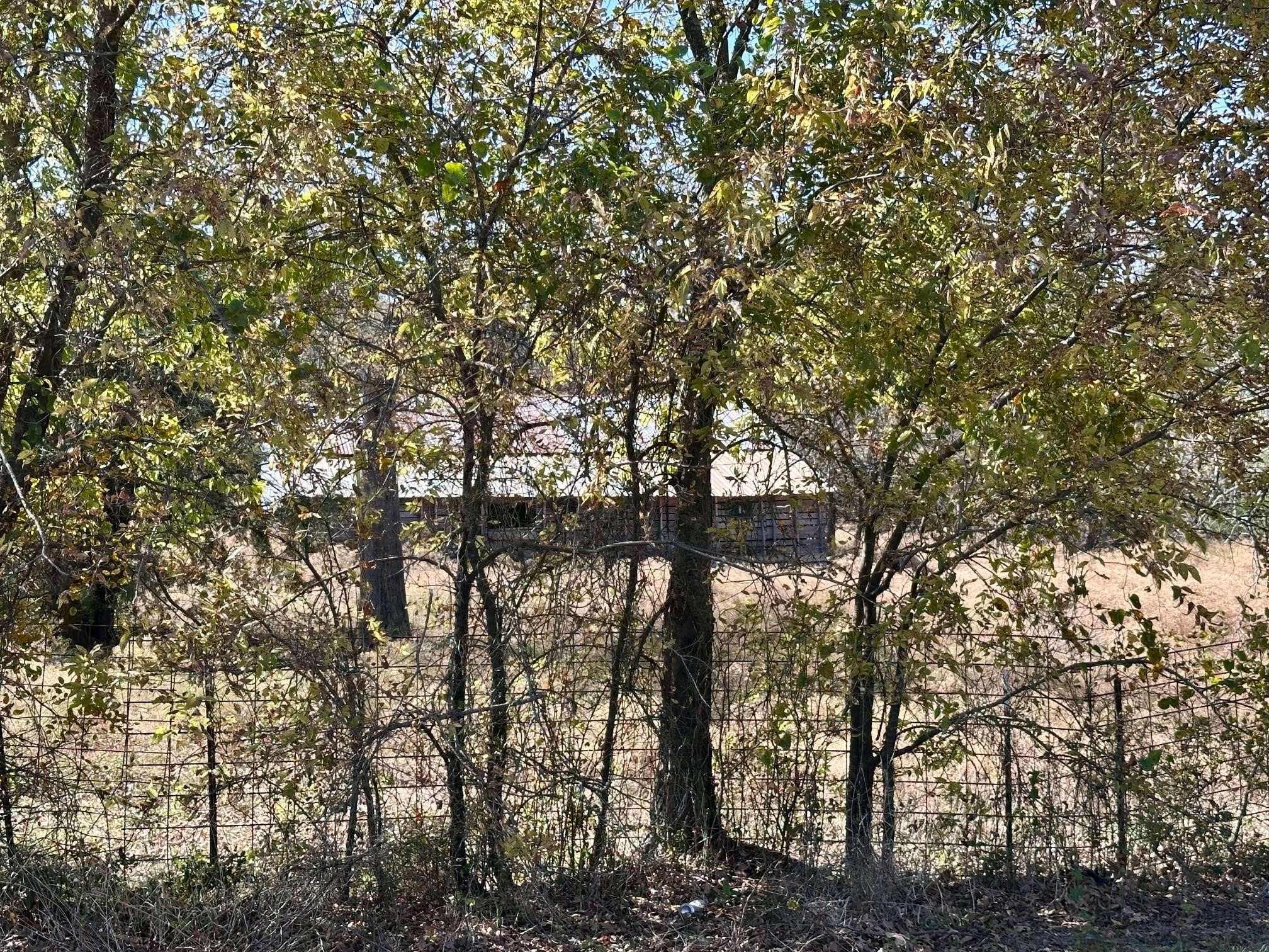 Tbd Pink Hill/state 56 E Highway Bells TX 75414