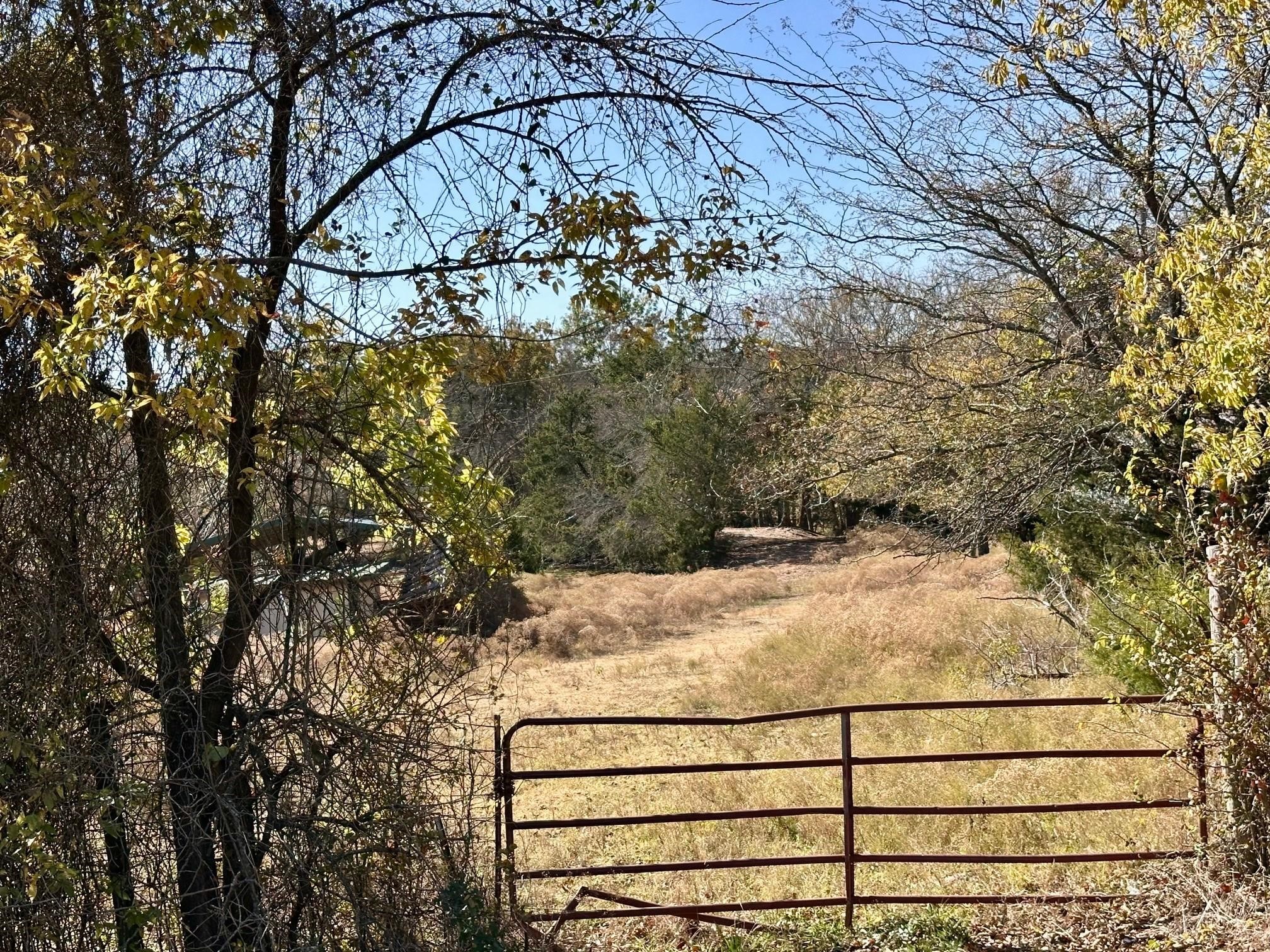Tbd Pink Hill/state 56 E Highway Bells TX 75414