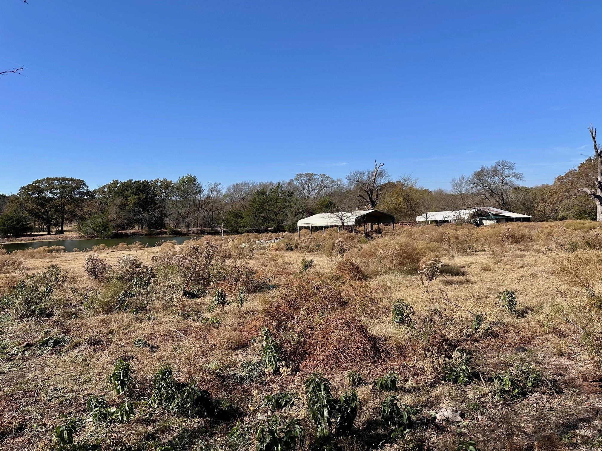 Tbd Pink Hill/state 56 E Highway Bells TX 75414