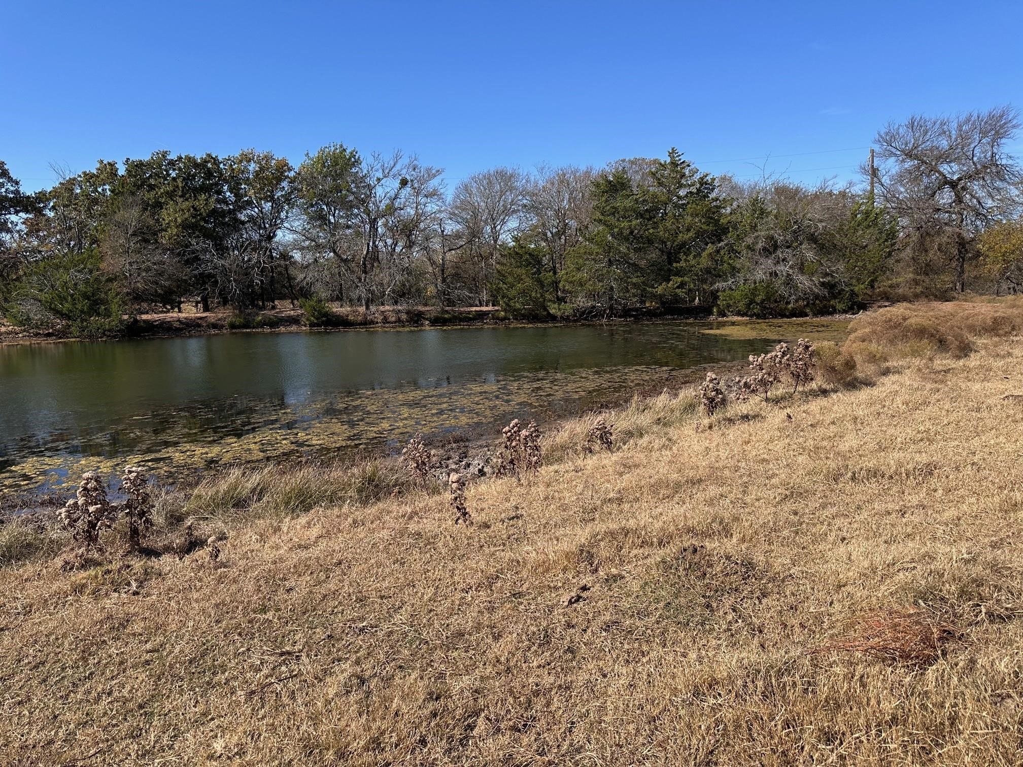Tbd Pink Hill/state 56 E Highway Bells TX 75414