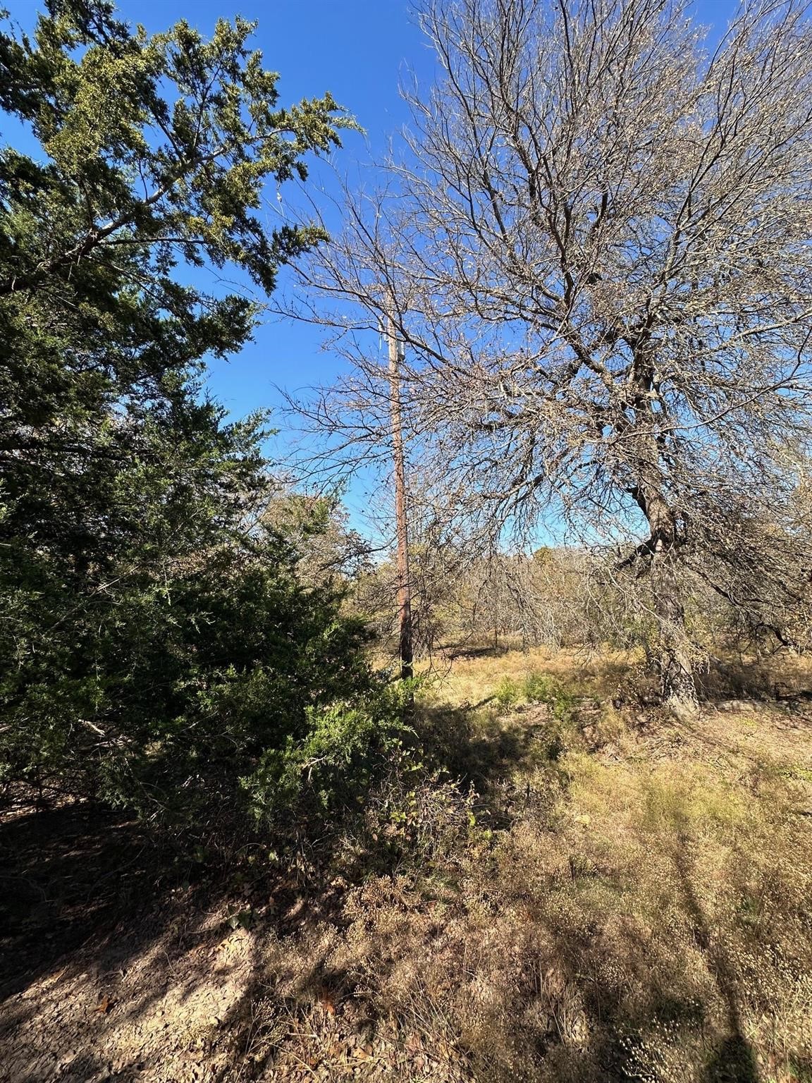 Tbd Pink Hill/state 56 E Highway Bells TX 75414