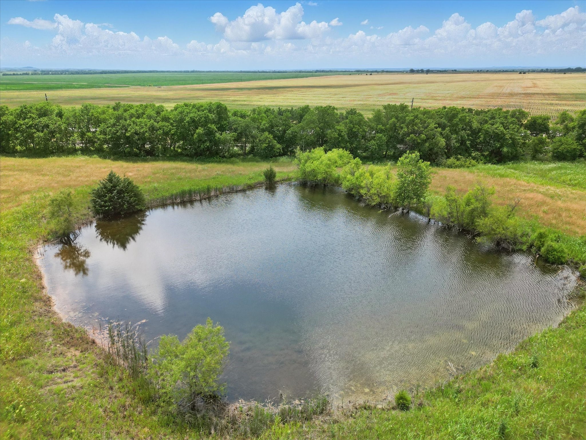 6482 County Road 1050 Celeste TX 75423